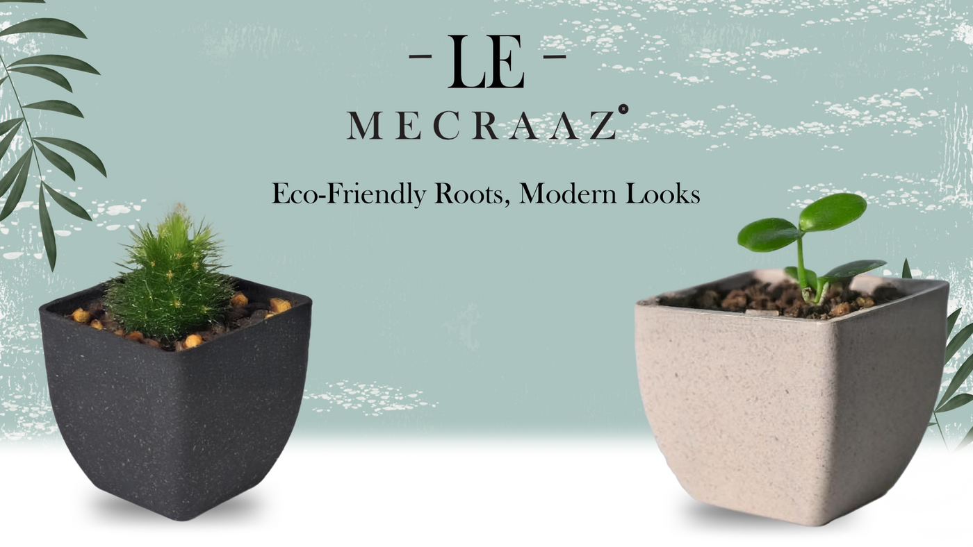 Le by Mecraaz - The Art of Thoughtful Living