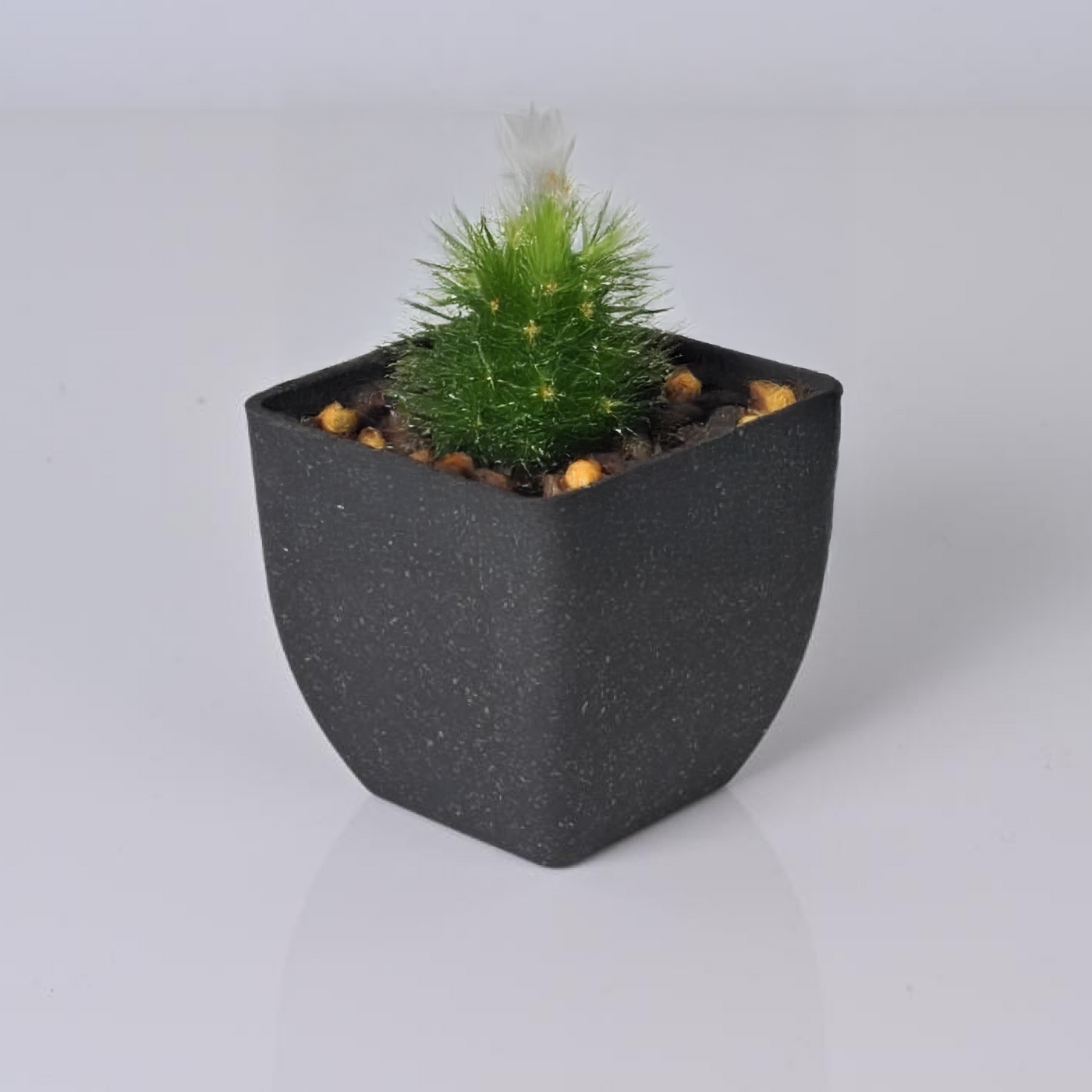 Le by Mecraaz Eco-friendly Rice Husk Planters - Set of 2