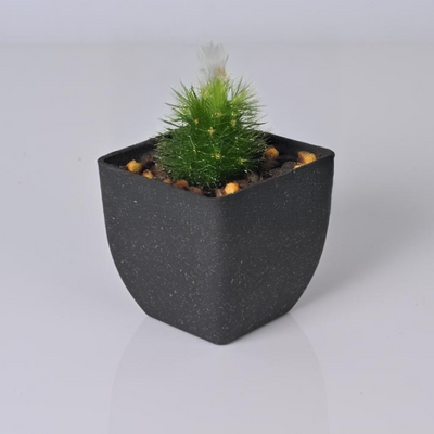 Le by Mecraaz Eco-friendly Rice Husk Planters - Set of 2